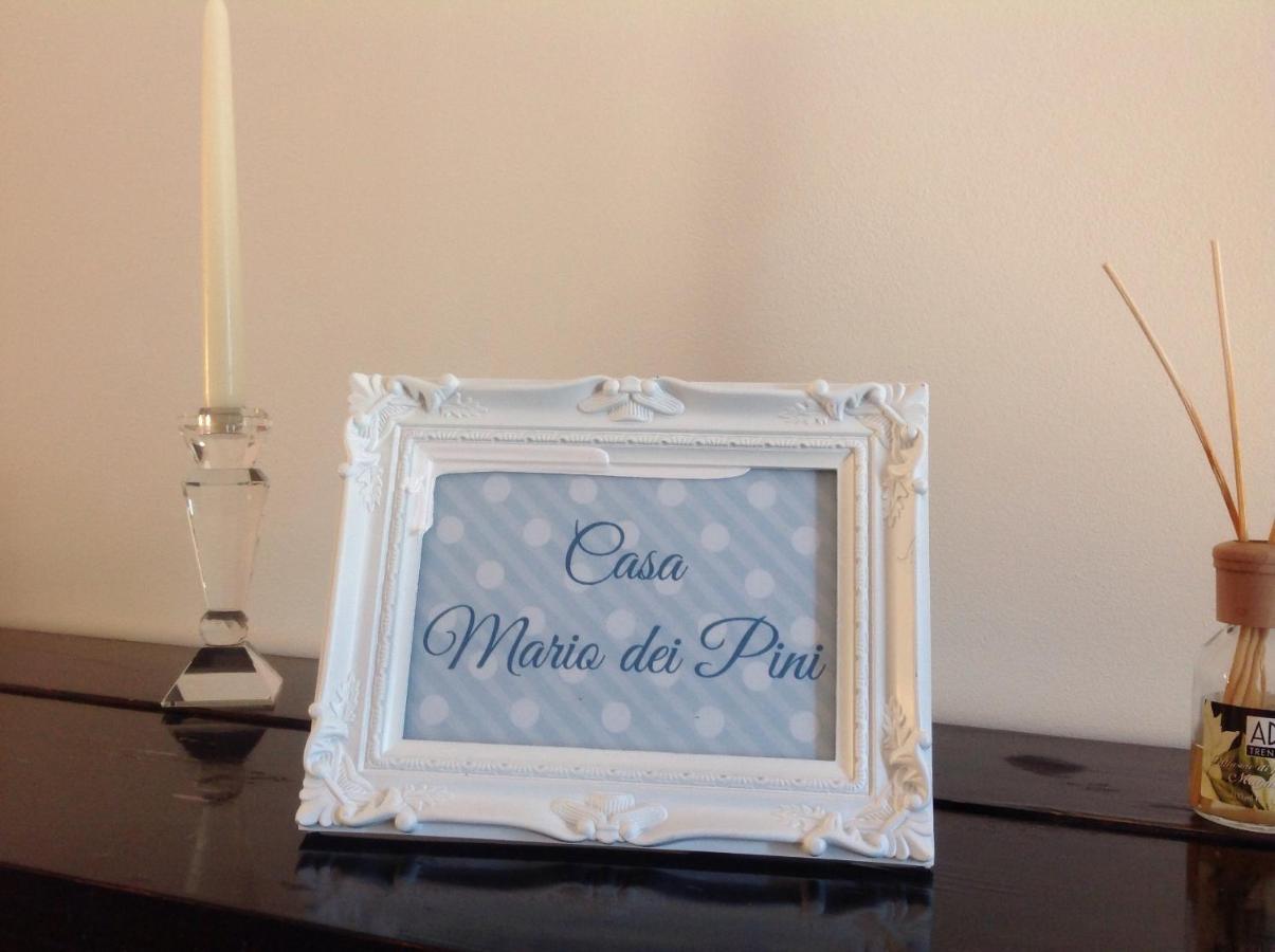 Casa Mario Dei Pini Villa เวียเรจโจ ภายนอก รูปภาพ